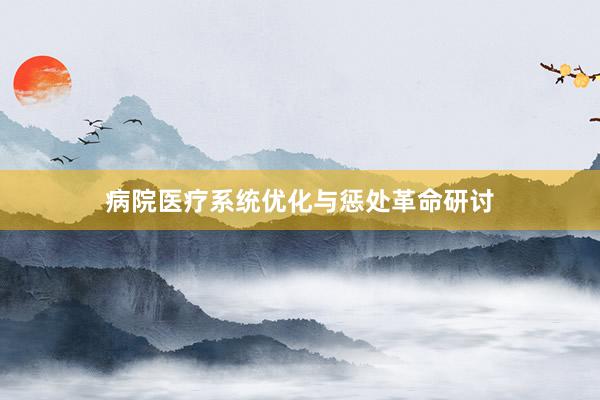病院医疗系统优化与惩处革命研讨