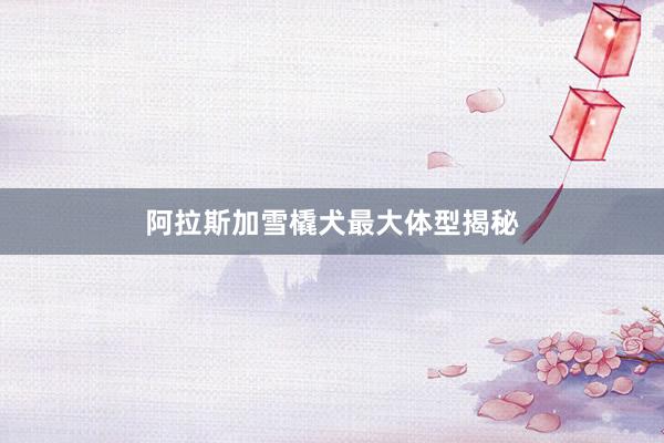 阿拉斯加雪橇犬最大体型揭秘