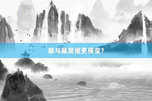 狼与藏獒谁更横蛮?